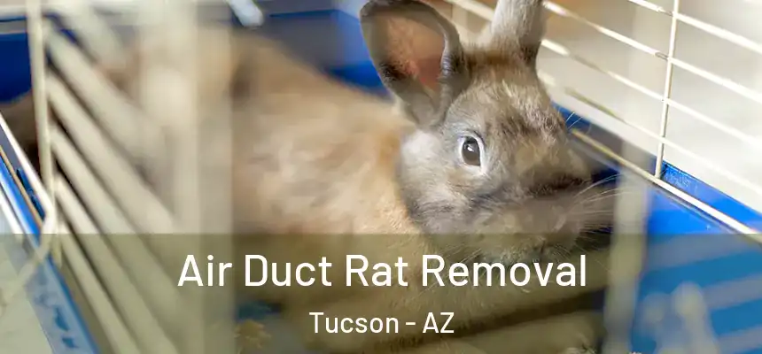 Air Duct Rat Removal Tucson - AZ