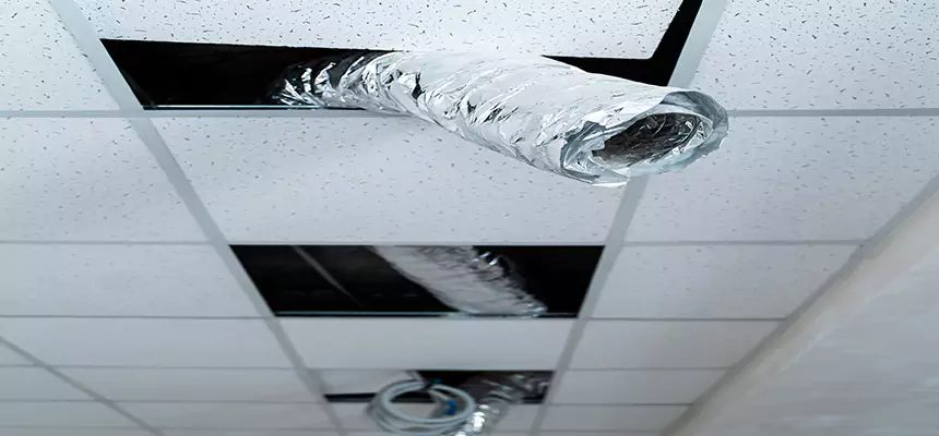 Our Air Duct Pet Hair Removal Services in Tucson, AZ