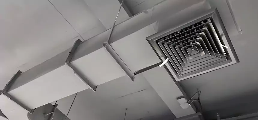 Restorative Allergy Relief Vent Cleaning – Coil, Blower & Housing Detail in Tucson