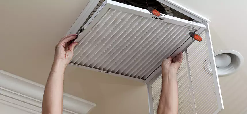 Our Insect Removal from Air Ducts Services in Tucson, AZ