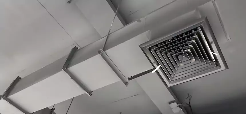 Our Rodent Droppings In Vents Services in Tucson, AZ