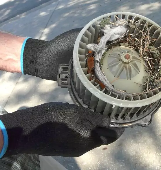 About Air Duct Mice Removal in Tucson, AZ