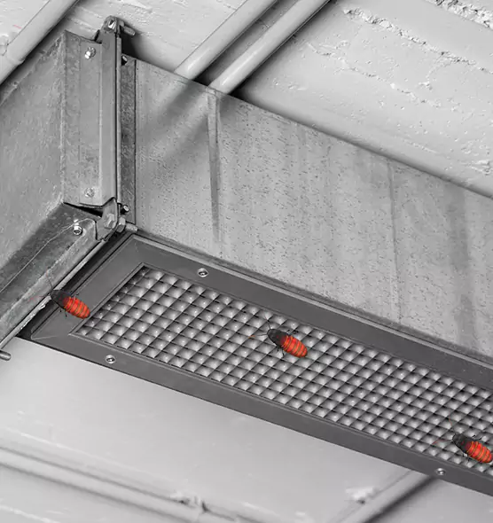 Affordable Insect Removal from Air Ducts in Tucson, AZ
