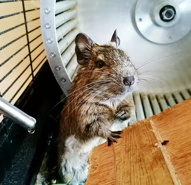 Why Homeowners & Businesses Trust Us Tucson, AZ?