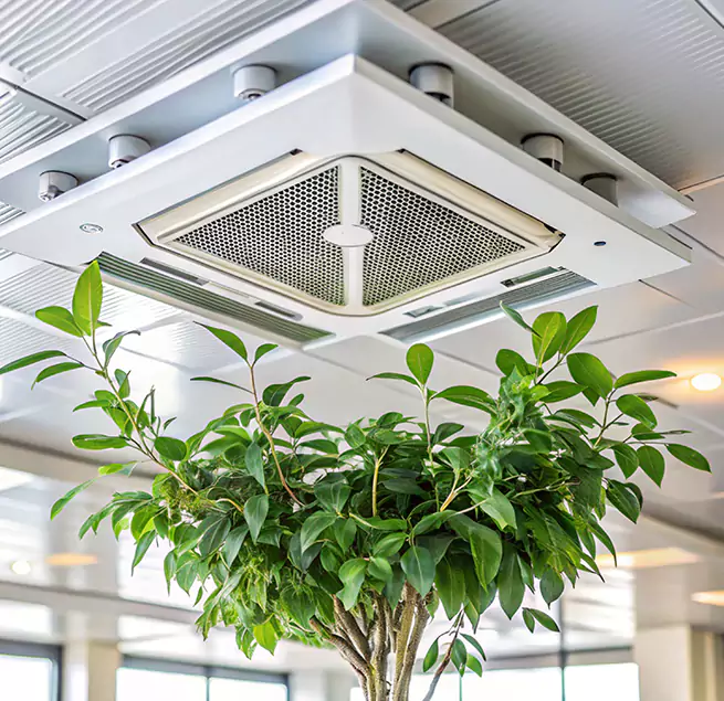 Why Homeowners & Businesses Trust Us in Tucson, AZ