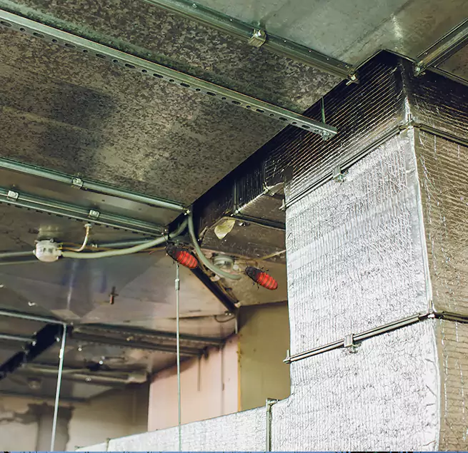 Why Homeowners & Businesses Trust Us Tucson, AZ?