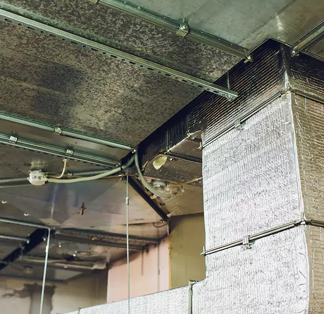 Why Homeowners & Businesses Trust Us in Tucson, AZ?